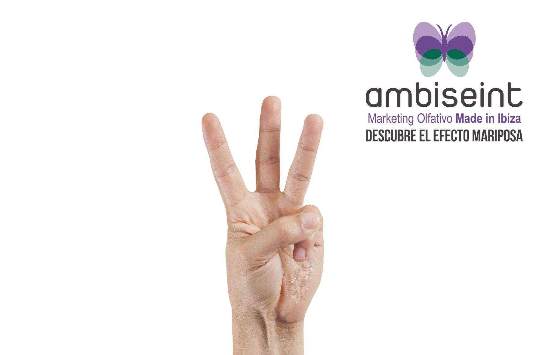 Ambiseint continúa con su alto ritmo de crecimiento