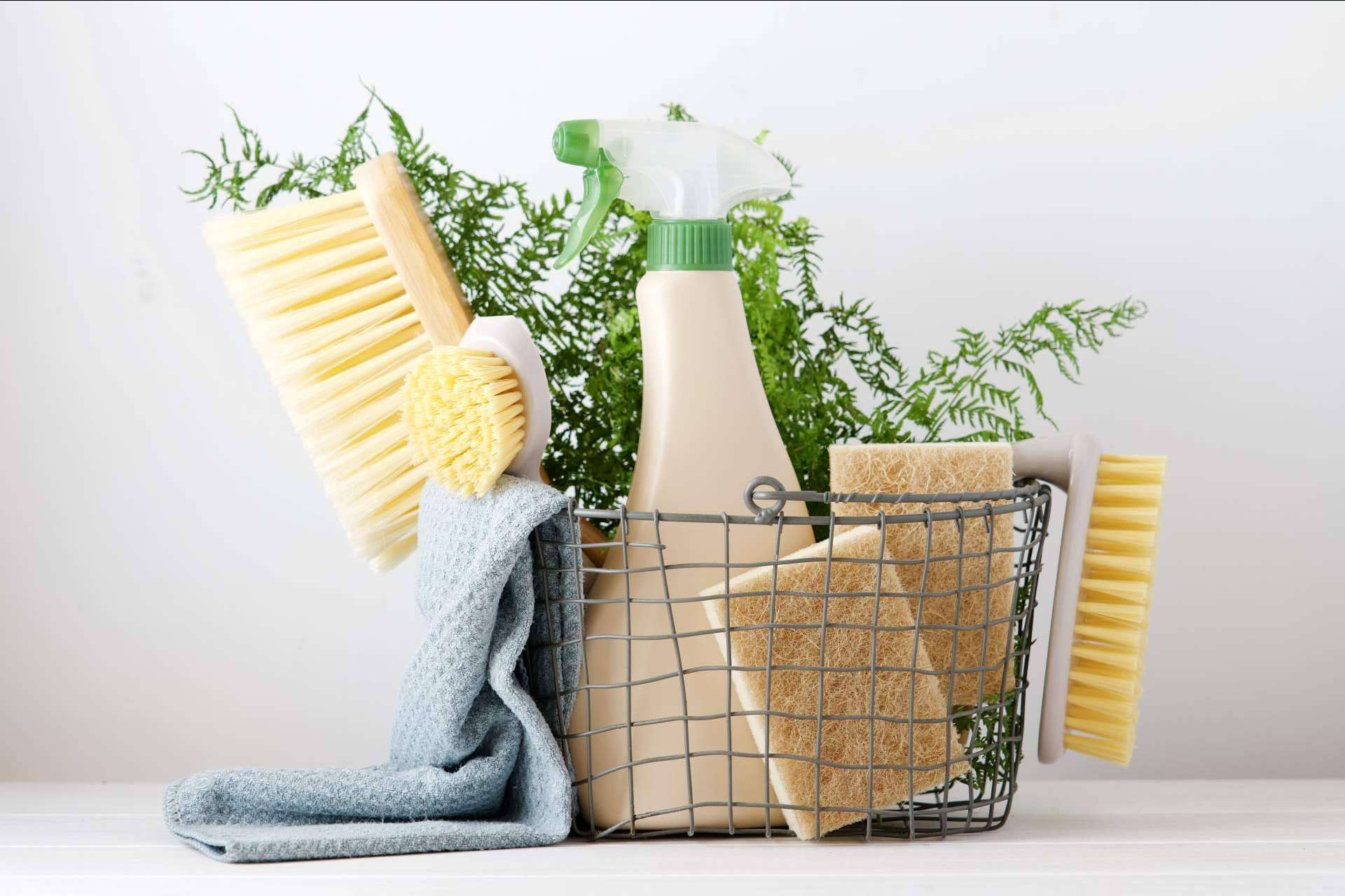 Abrir una franquicia con Ecocleans