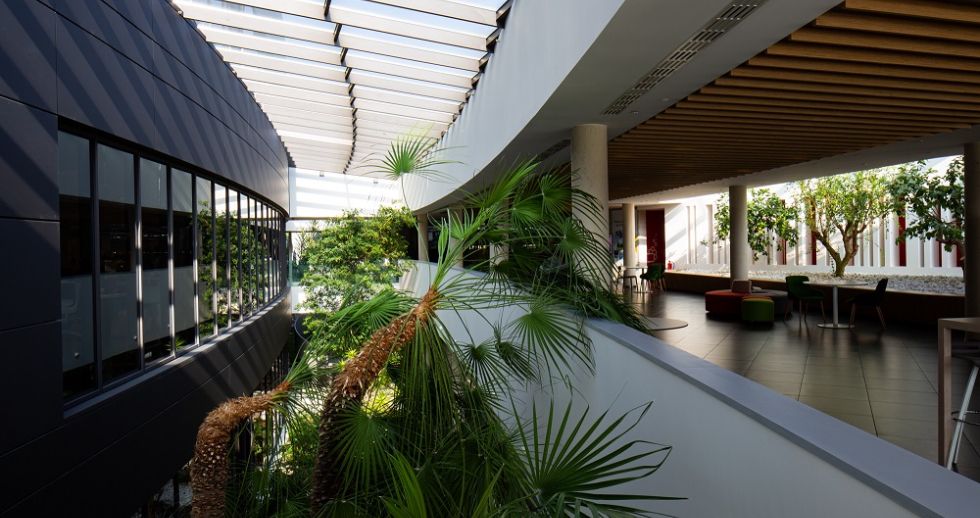 Diseño biofílico: la naturaleza como valor diferencial en los espacios de trabajo