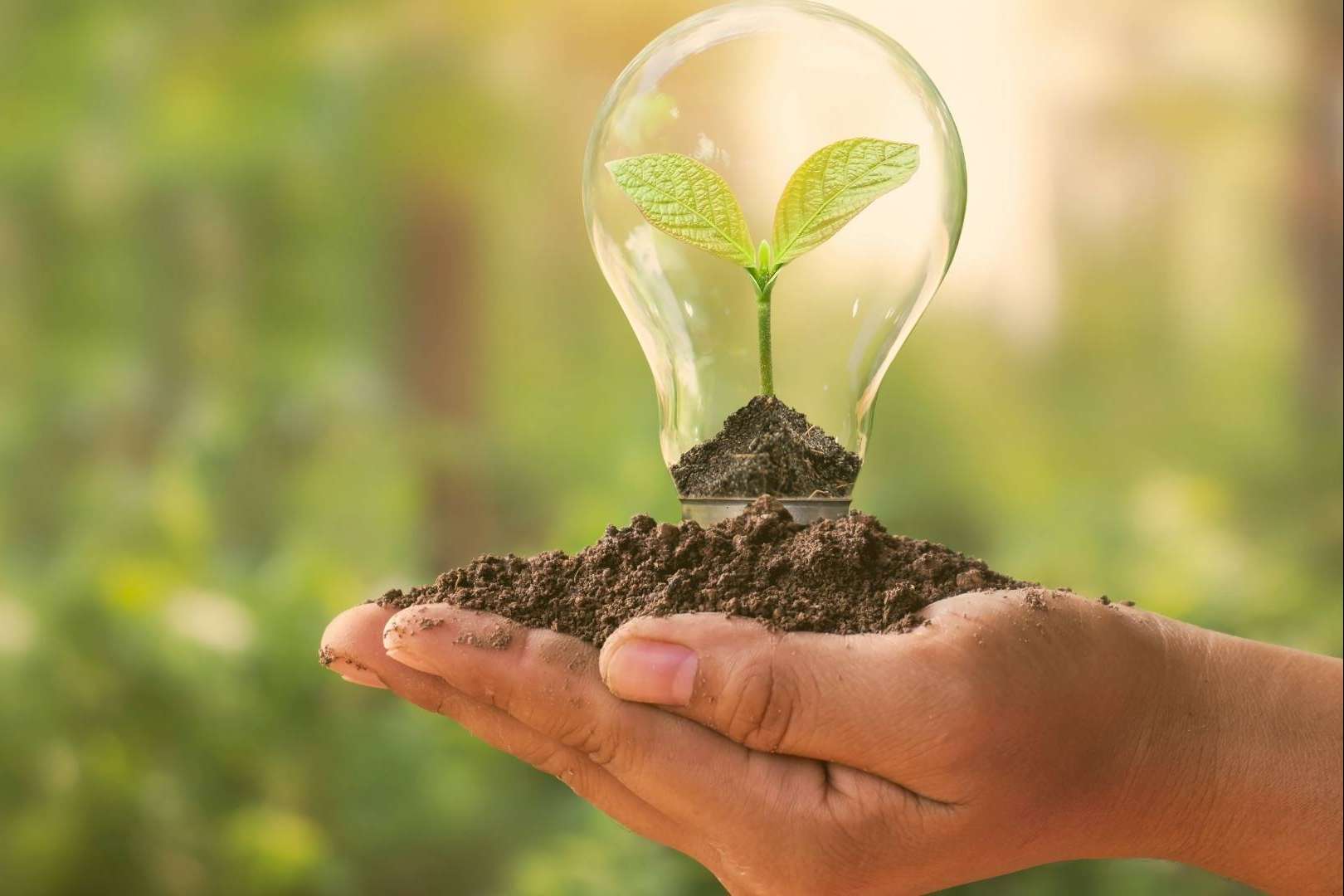 ¿Cómo ahorrar en la factura de la luz? Solvenup