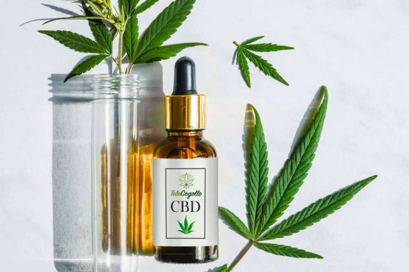 TeleCogollo, aceites CBD y otros cannabinoides