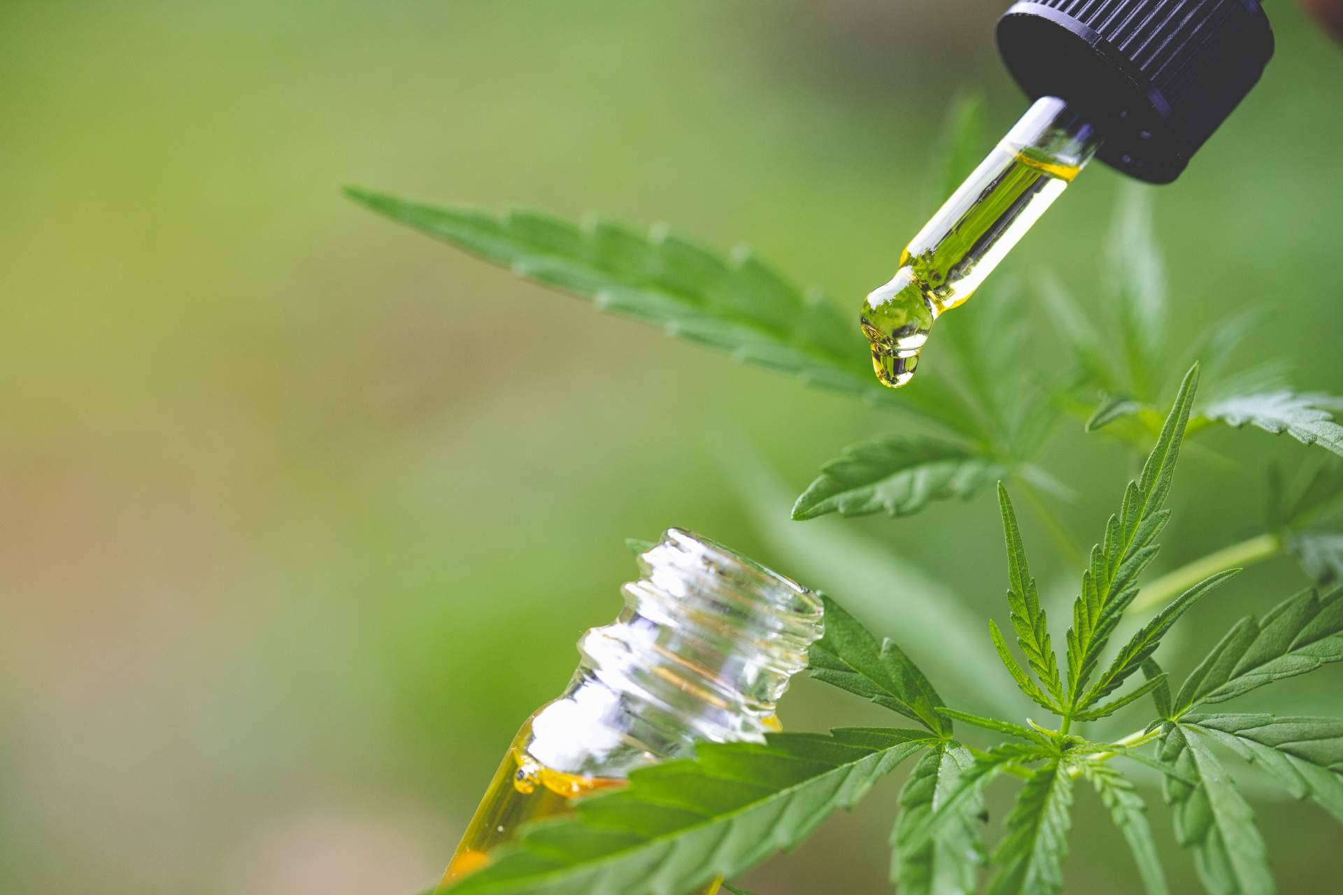 CBD Torrejón vende productos CBD en Torrejón de Ardoz